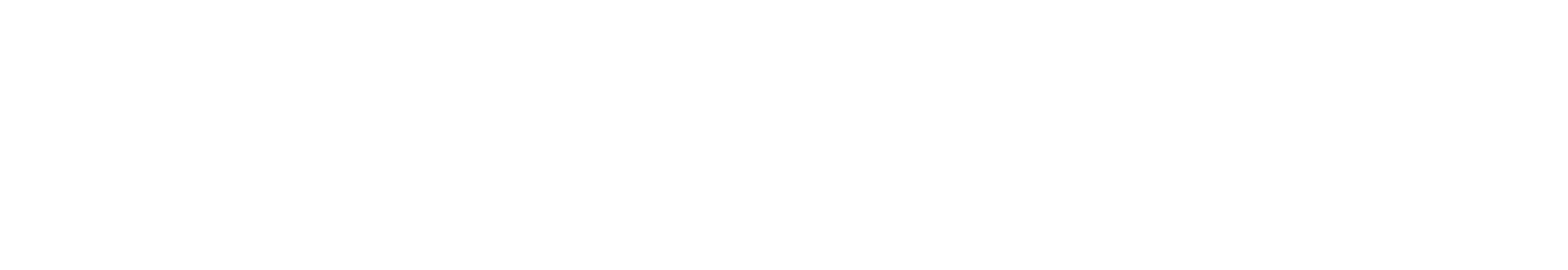 Logo apw